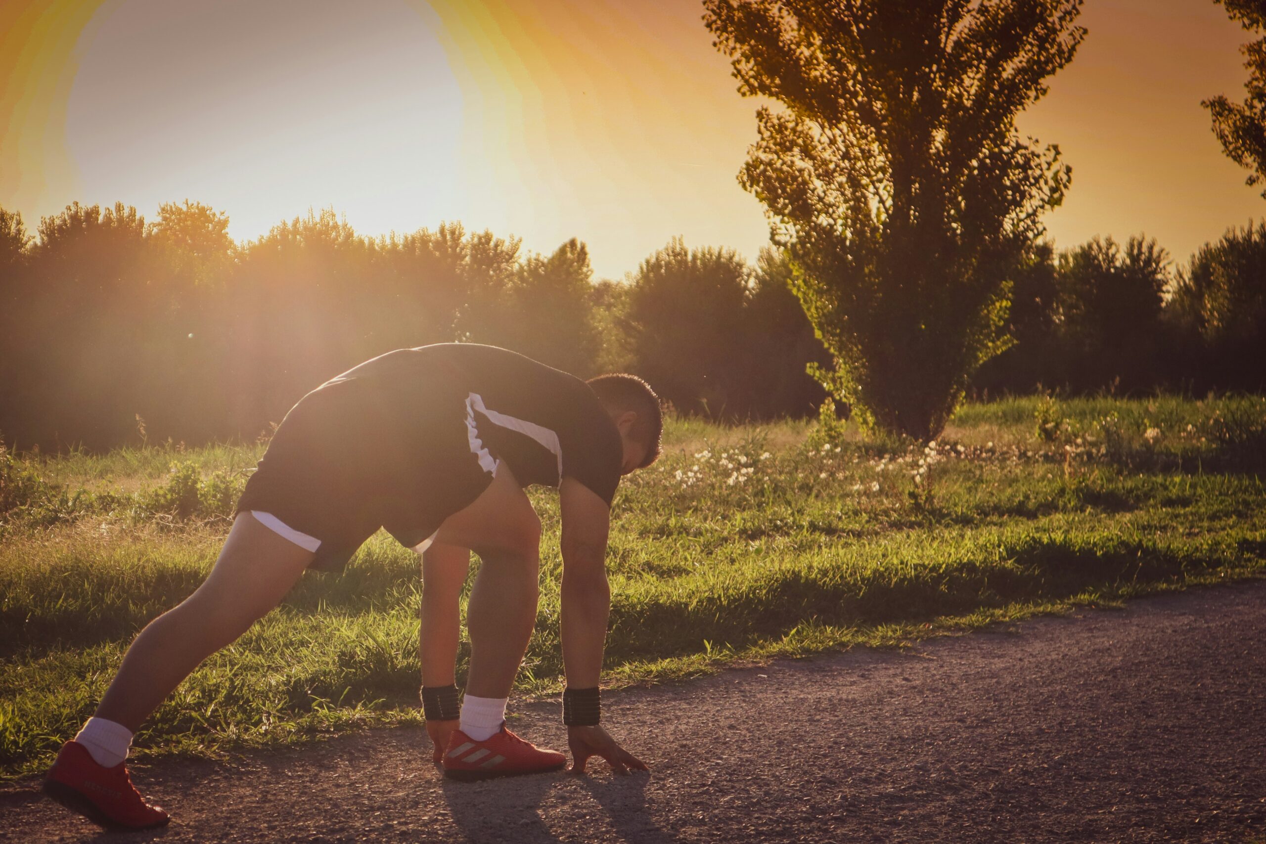 daily fitness routine